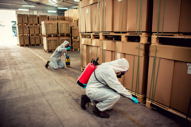 Best Cockroach Control Services  in Springdale, AR