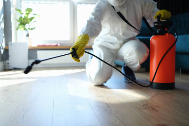 Best Residential Pest Control  in Springdale, AR