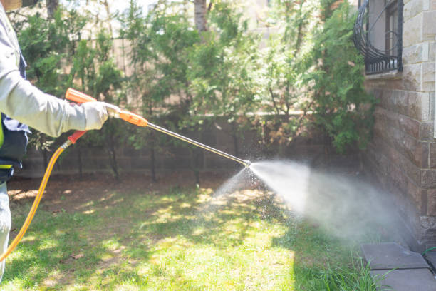 Best Affordable Pest Control Services  in Springdale, AR