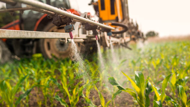 Professional Pest Control in Springdale, AR