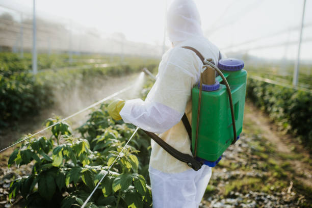 Best Exterminator Services  in Springdale, AR